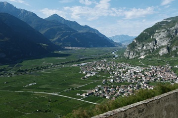P1012072a6.jpg
